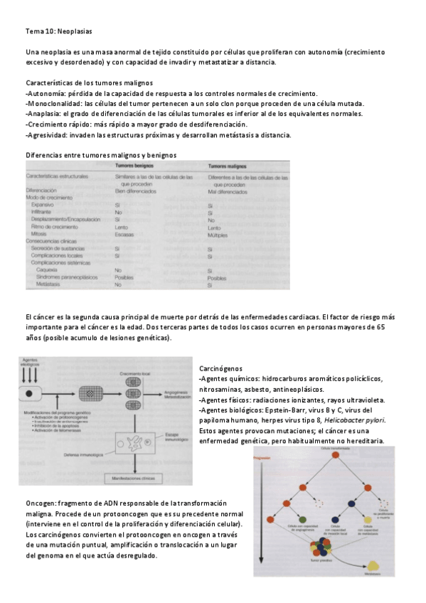 Miniatura del documento T10-20.pdf