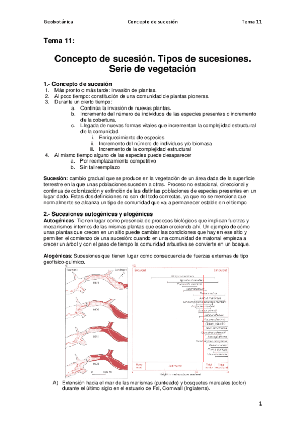 Miniatura del documento Tema 11.pdf