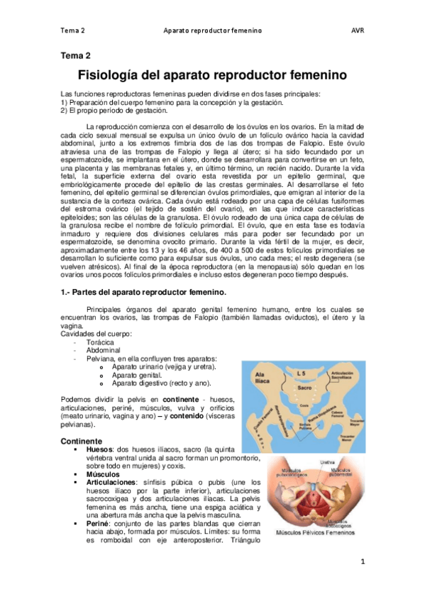 Miniatura del documento Tema 2. Fisiología del aparato reproductor femenino.pdf