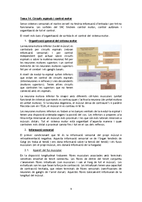 Miniatura del documento Parcial3_FisioI_Completo.pdf