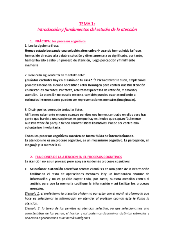 Miniatura del documento TEMA 1.pdf