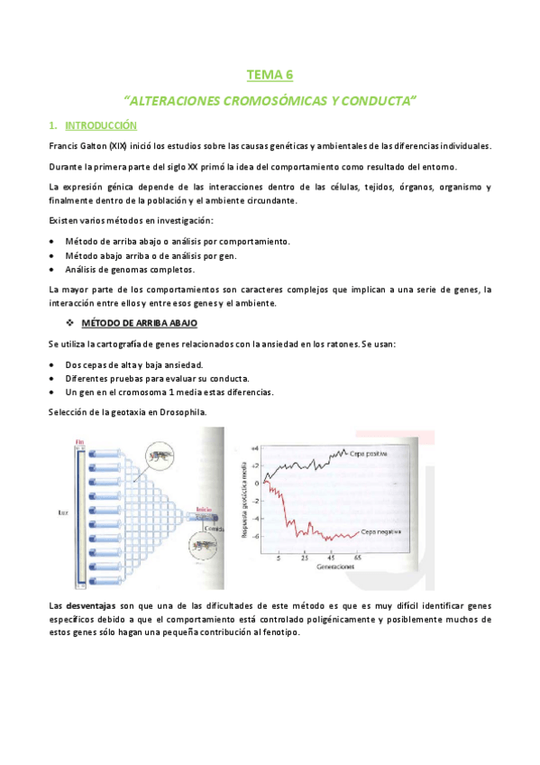 Miniatura del documento Tema 6.pdf
