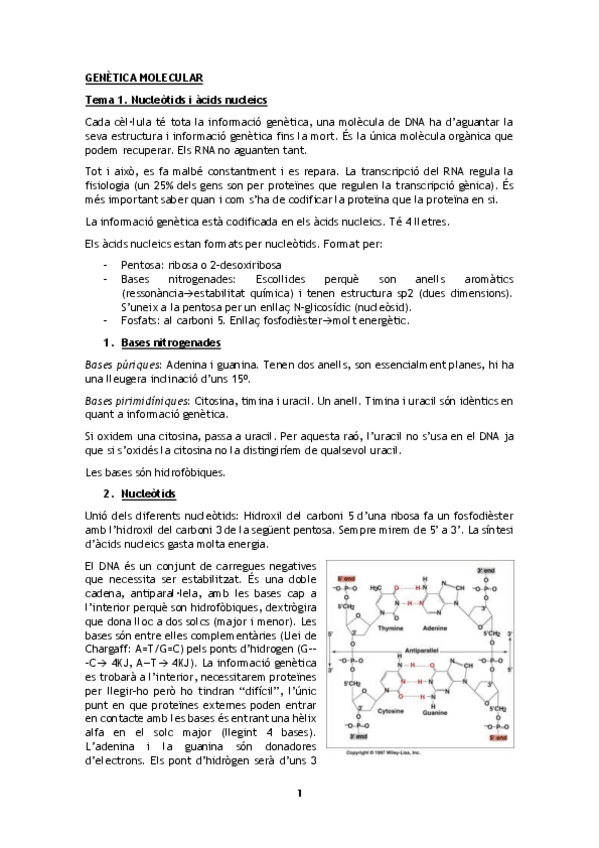 Miniatura del documento Parcial1_Genetica.pdf