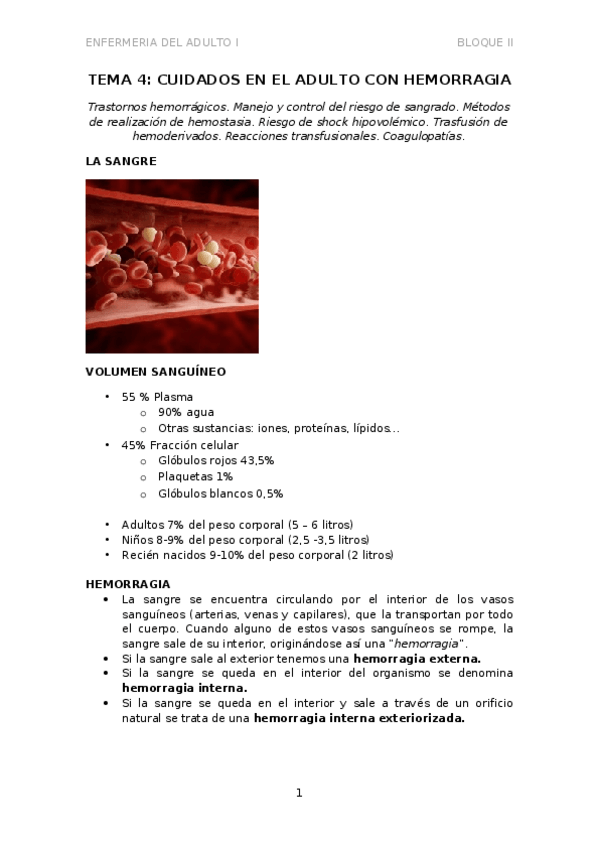 Miniatura del documento BLOQUE II.TEMA 4.docx