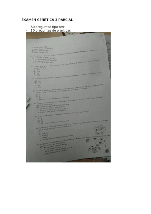Miniatura del documento EXAMEN GENÉTICA 3 PARCIAL 2018.docx