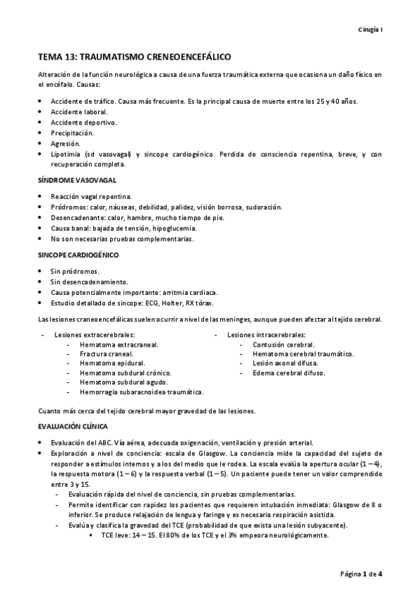 Miniatura del documento TEMA 13 TRAUMATISMOS CRANEOENCEFALICOS.pdf