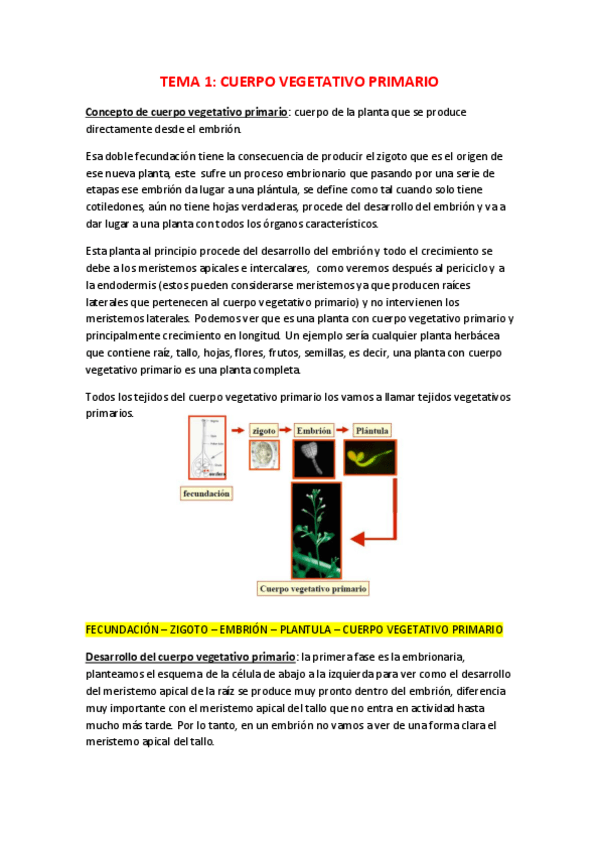 Miniatura del documento TEMA 1.pdf