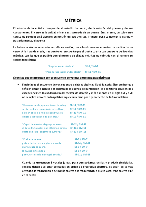 Miniatura del documento MÉTRICA - TEORÍA DE LA LITERATURA.pdf