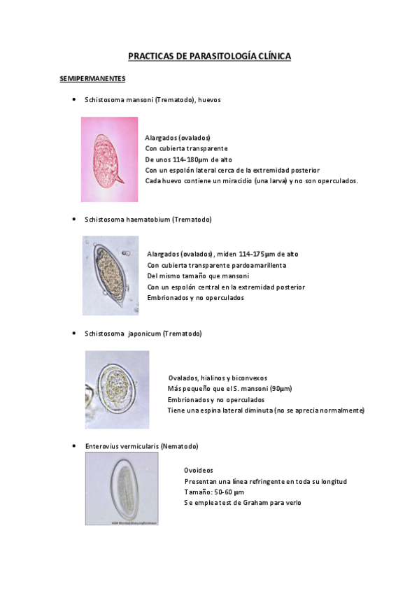 Miniatura del documento PRACTICAS DE PARASITOLOGIA clinica.pdf
