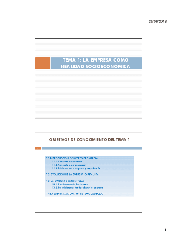 Miniatura del documento Tema 1. La empresa como realidad socioeconómica.pdf