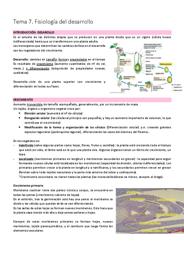 Miniatura del documento Tema 7. Fisiología del desarrollo.pdf