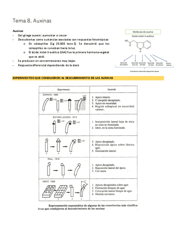 Miniatura del documento Tema 8. Auxinas.pdf