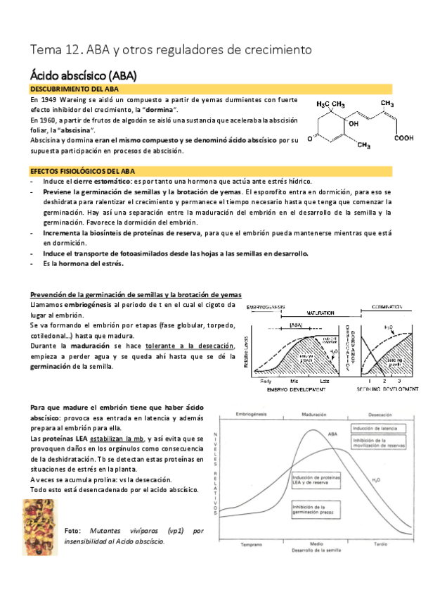 Miniatura del documento Tema 12. ABA y otros reguladores de crecimiento.pdf