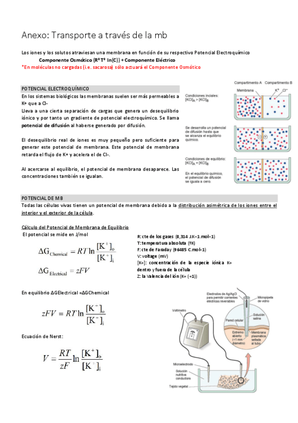 Miniatura del documento Transporte a través de la mb.pdf
