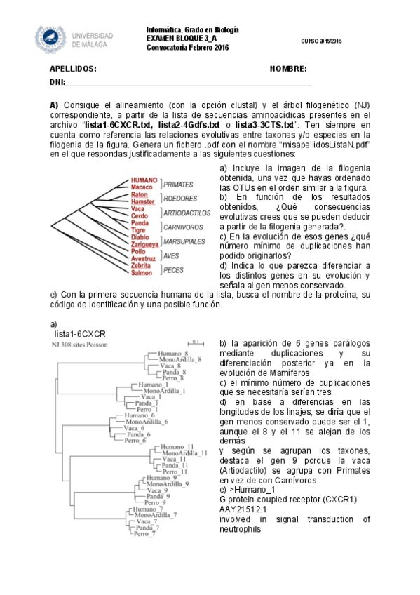 Miniatura del documento EXAMEN FEBRERO 2016.pdf