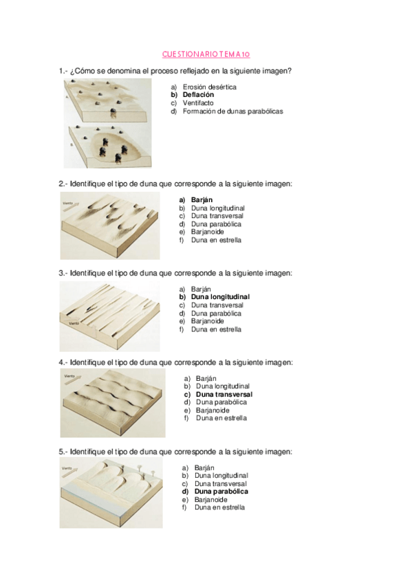 Miniatura del documento Tema 10.pdf