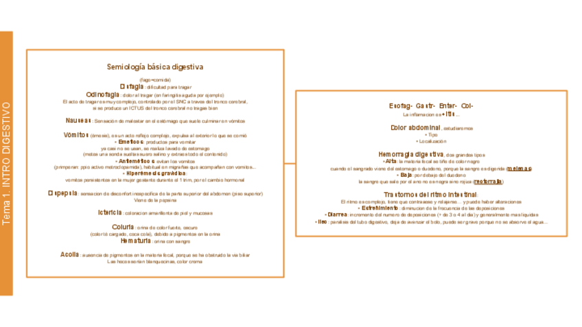 Miniatura del documento PATO2 01 08 DIGESTIVO.pdf