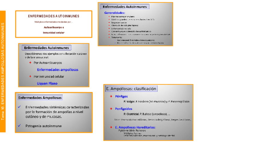 Miniatura del documento PATO Tema 16 ENF AUTOINMUNES EPITELIAL.pdf