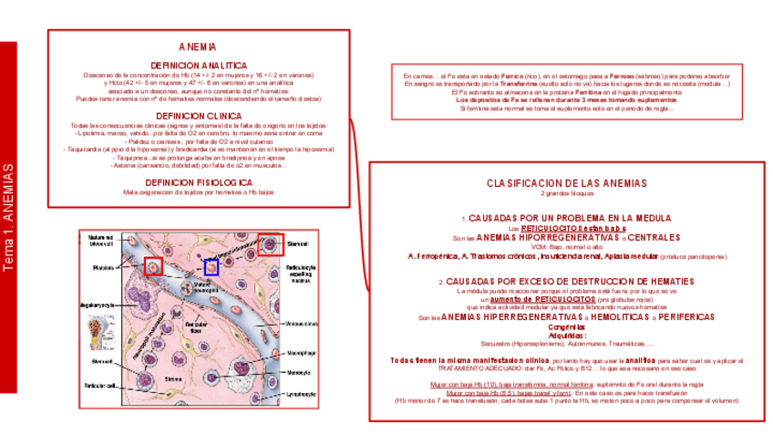 Miniatura del documento PATO2 Tema 01-05 Sangre.pdf