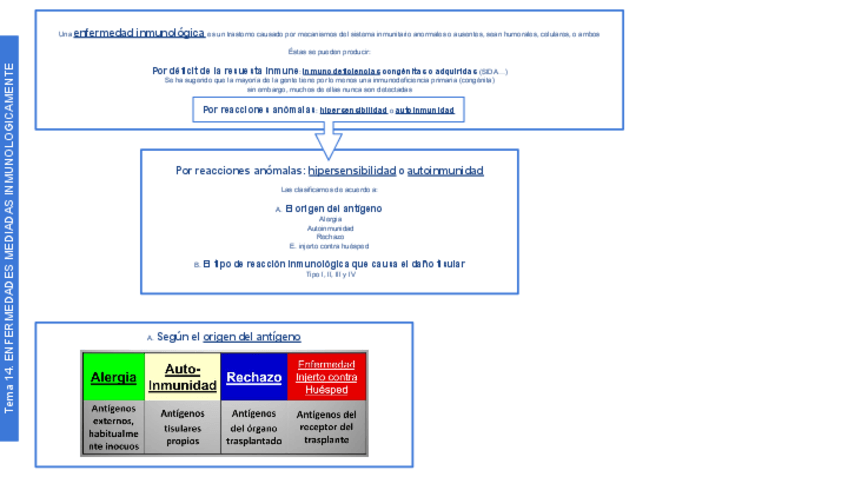 Miniatura del documento PATO Tema 14 Enfermedades inmunologicas.pdf