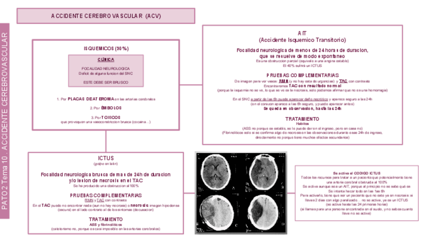 Miniatura del documento Cerebro Vascular.pdf