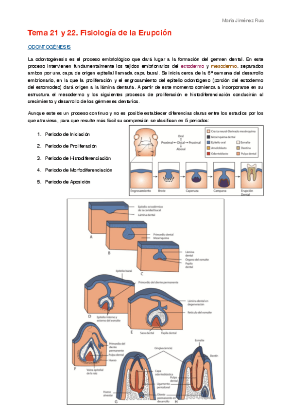 Miniatura del documento Tema 21 y 22.pdf
