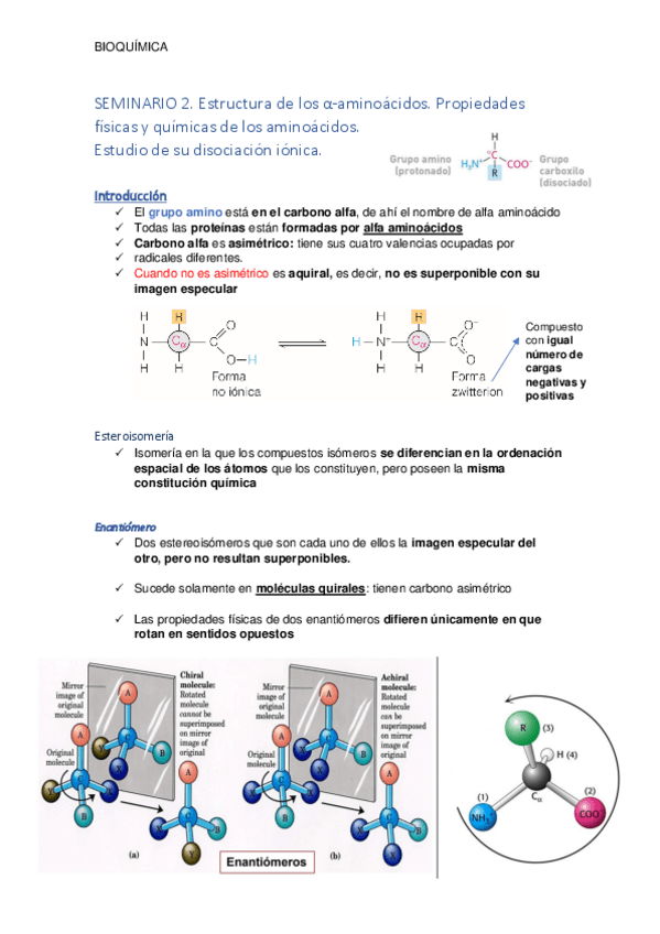 Miniatura del documento SEMINARIO 2. Estructura de los alfa-aminoácidos notas..pdf