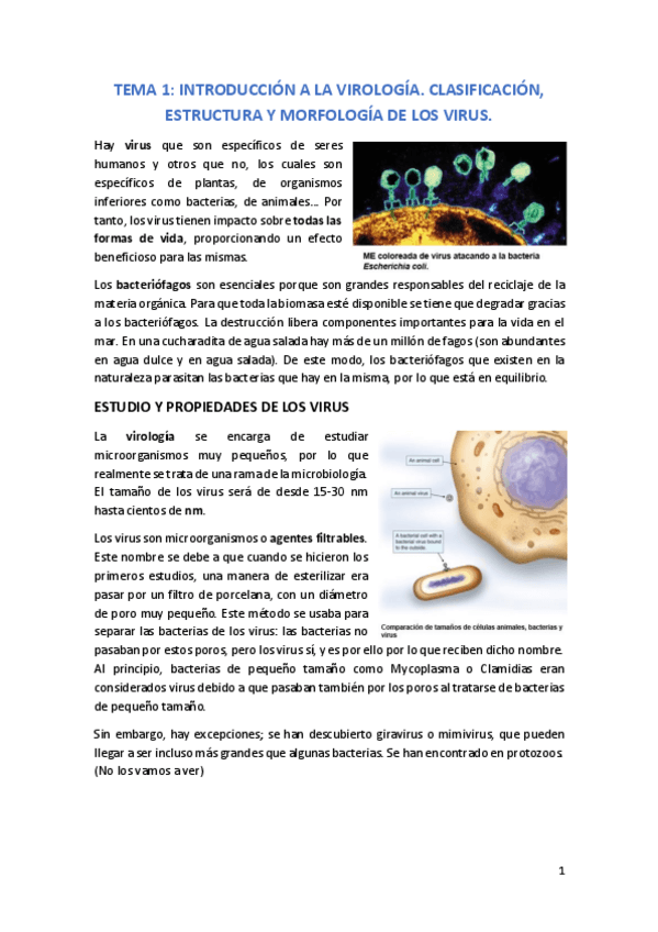 Miniatura del documento TEMA 1.pdf