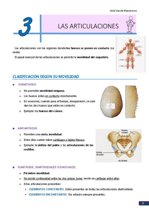 Miniatura del documento TEMA 3. Las articulaciones.pdf