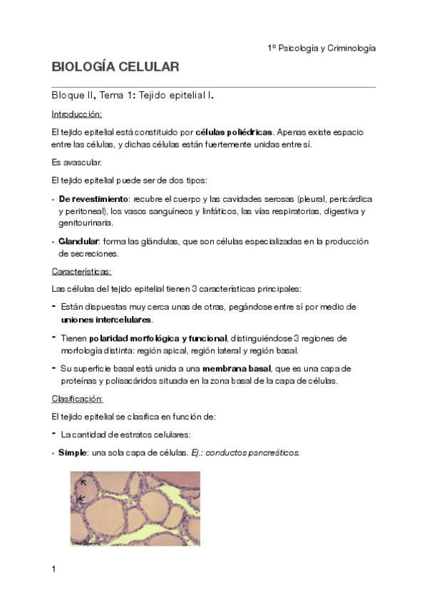 Miniatura del documento Biología celular - Tema 1 BII pdf.pdf