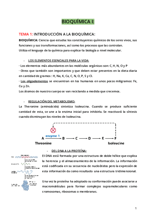 Miniatura del documento Tema 1.pdf