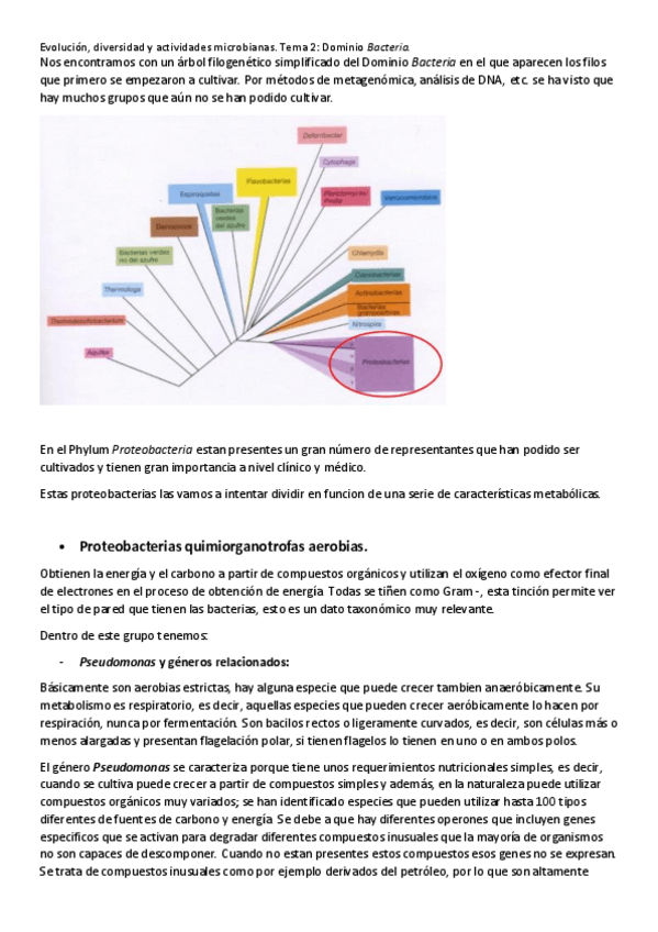 Miniatura del documento TEMA 2.pdf