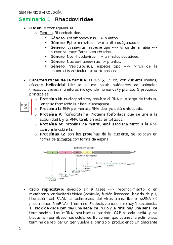 Miniatura del documento Seminarios virologia.docx