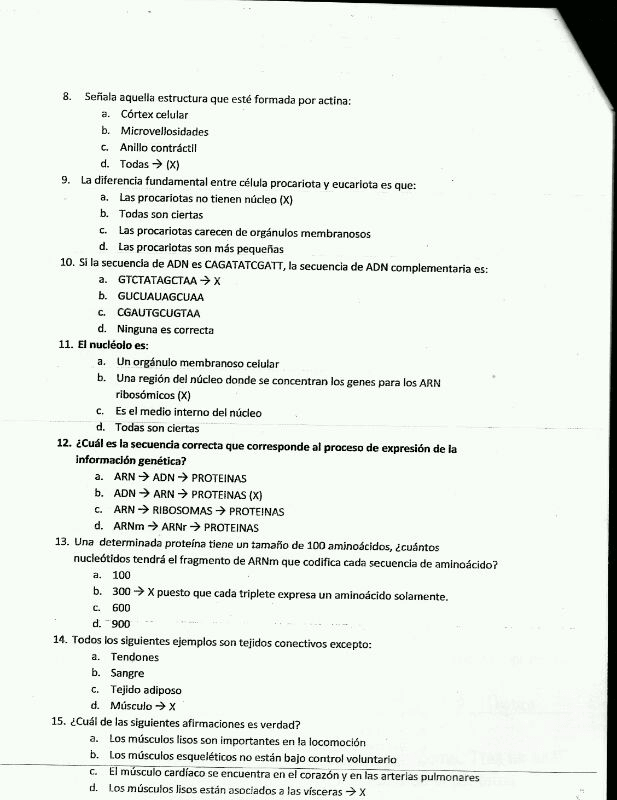 Miniatura del documento IMG-20120610-WA0007.jpg
