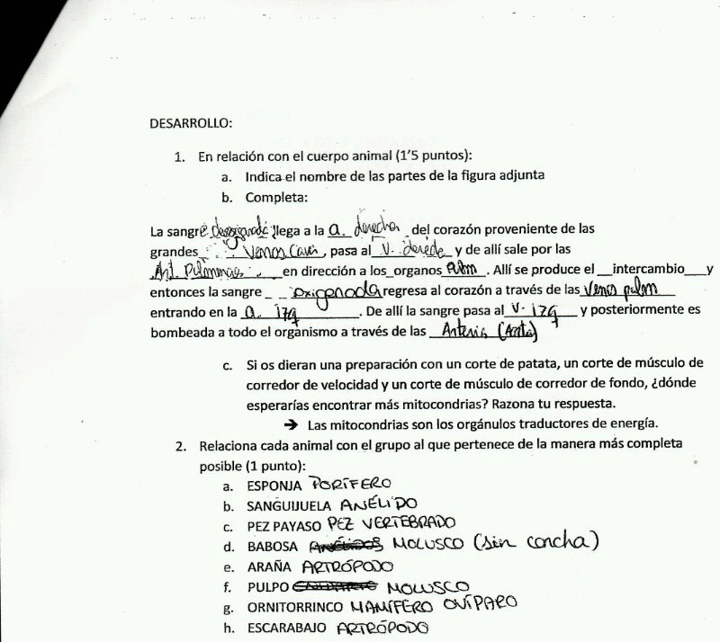 Miniatura del documento IMG-20120610-WA0009.jpg