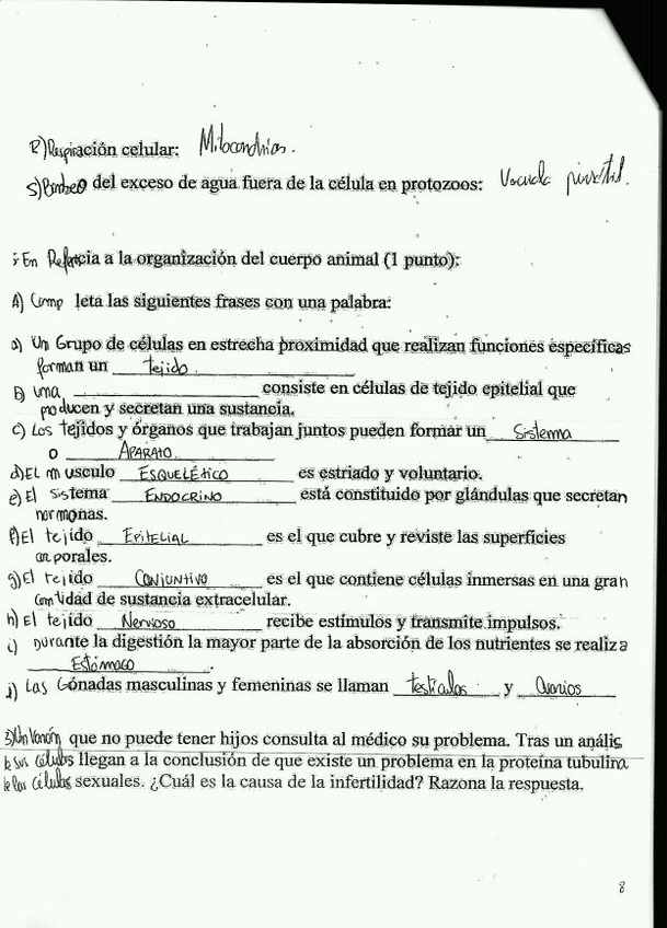 Miniatura del documento IMG-20120610-WA0010.jpg