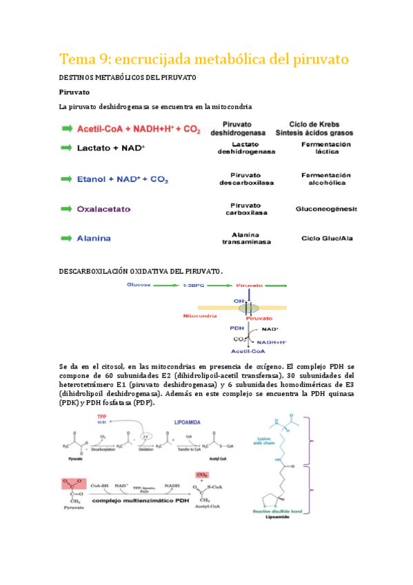 Miniatura del documento Tema 9 bq.pdf
