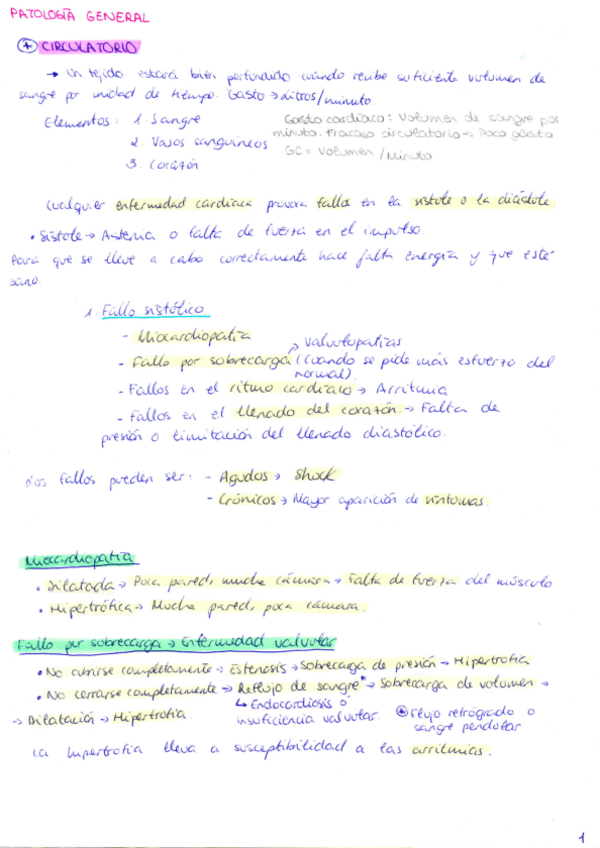 Miniatura del documento Patología Santi.pdf