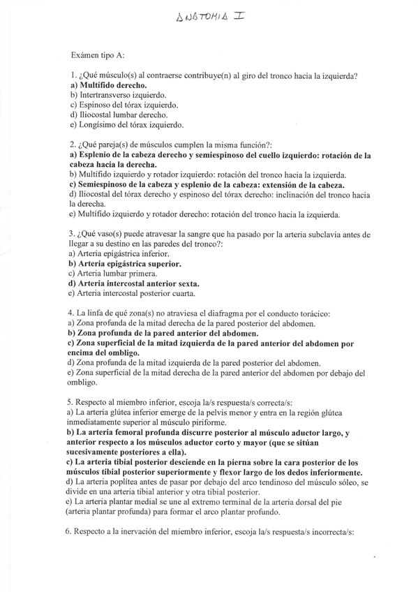 Miniatura del documento Escanear 10.jpeg