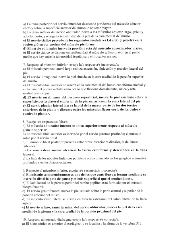 Miniatura del documento Escanear 11.jpeg