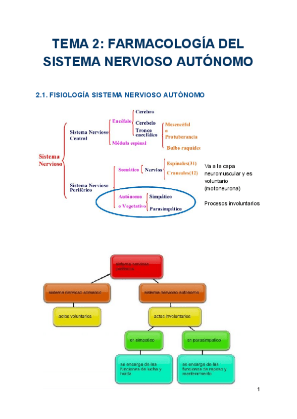Miniatura del documento TEMA 2 (2).pdf