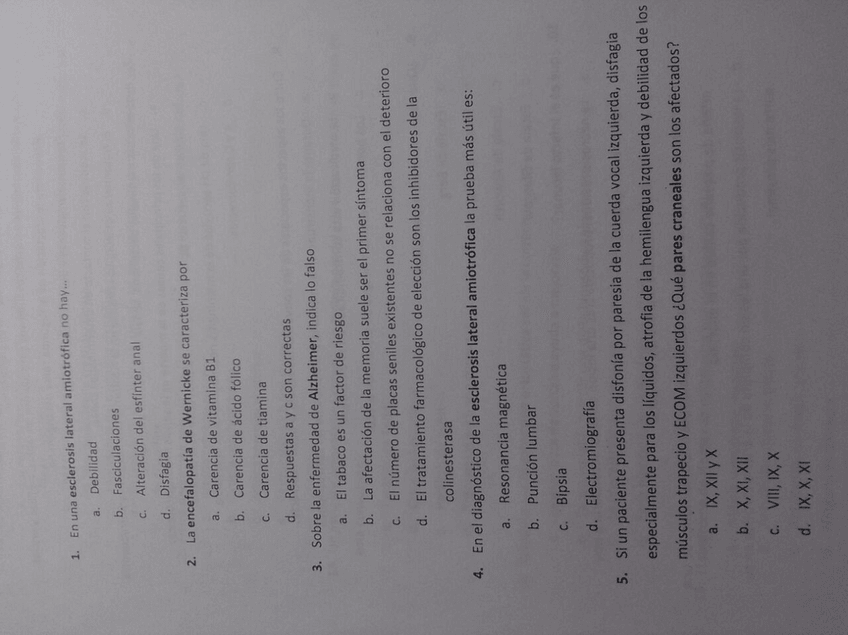 Miniatura del documento IMG_0590.JPG