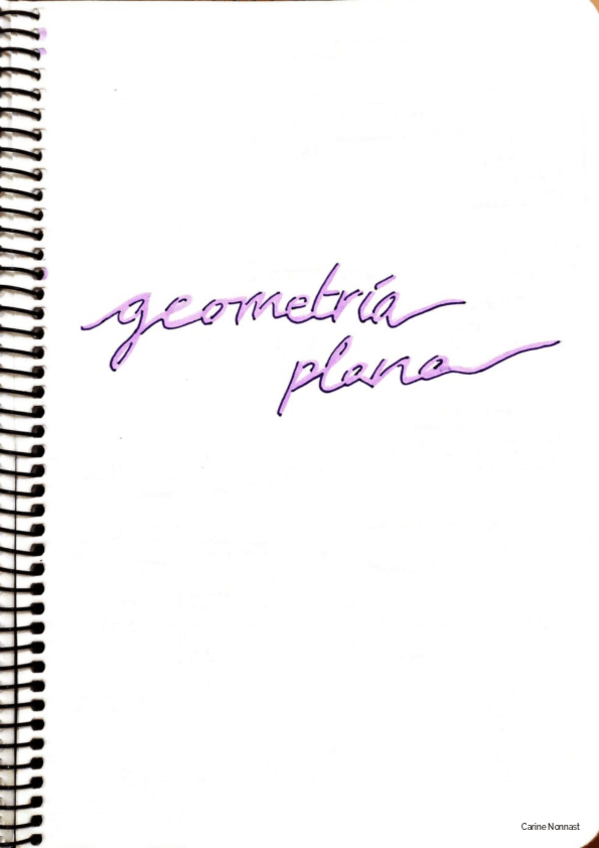 Miniatura del documento Geometría plama.pdf