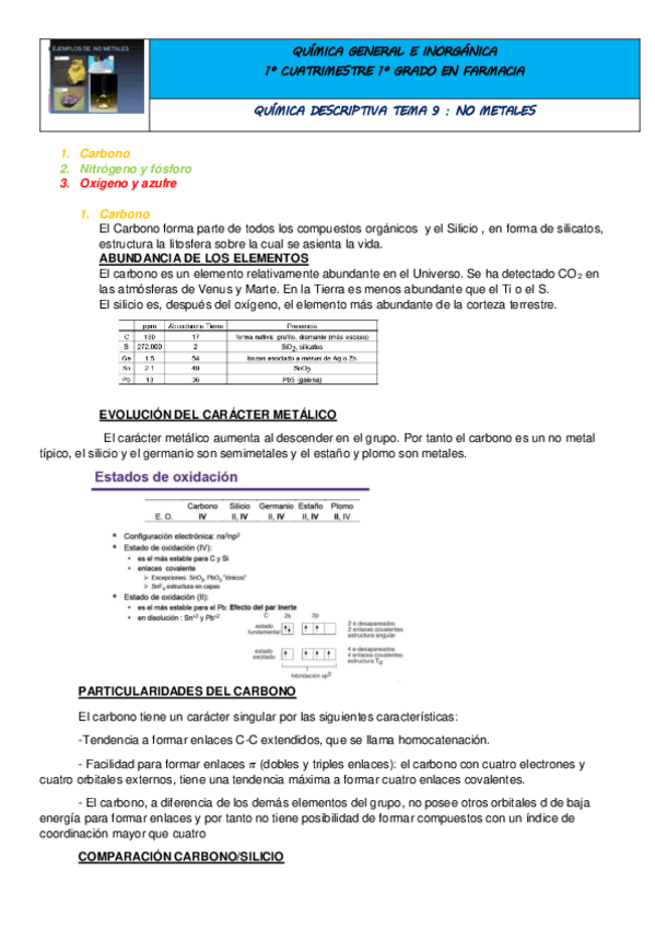 Miniatura del documento NO METALES.pdf