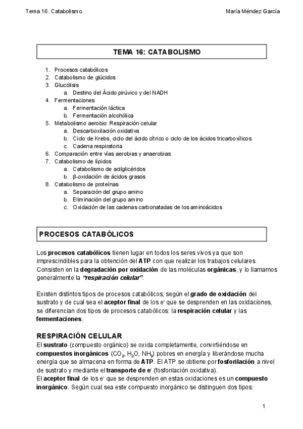 Miniatura del documento 16. Catabolismo.pdf