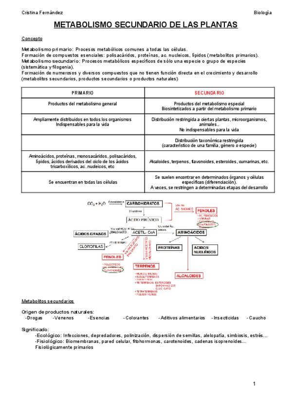 Miniatura del documento TEMA 6 (1).pdf