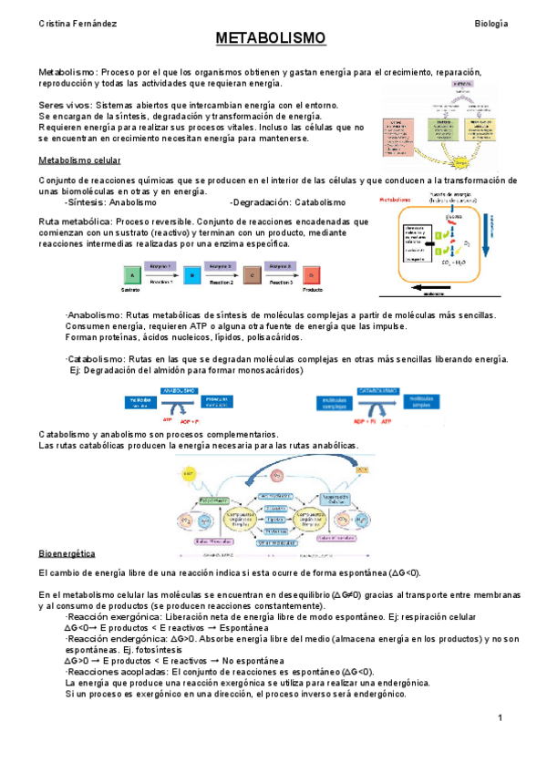 Miniatura del documento TEMA 4 (2).pdf