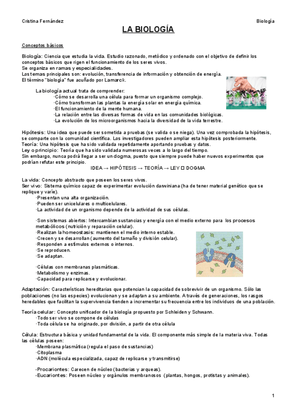 Miniatura del documento TEMA 1.pdf