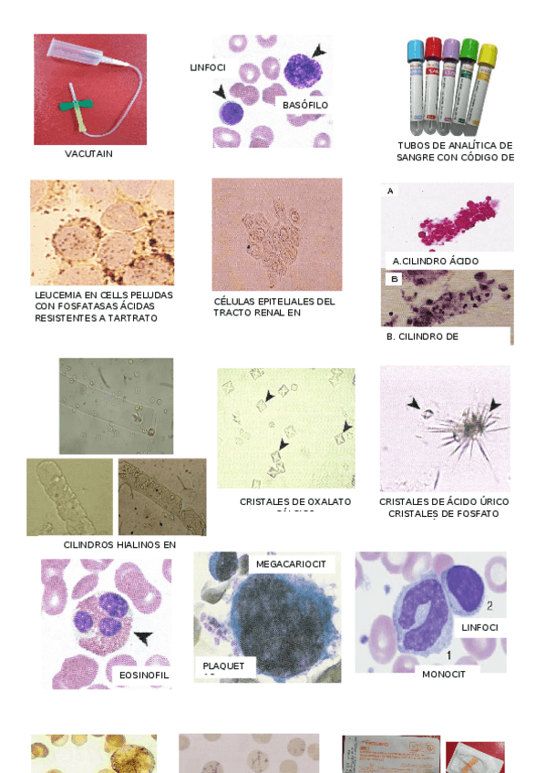Miniatura del documento VISU EXAMEN.docx