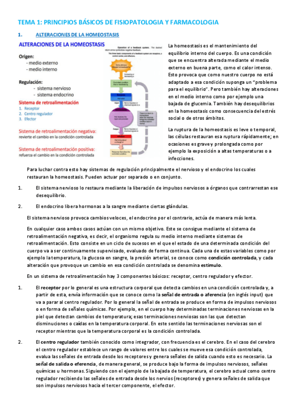 Miniatura del documento TEMA 1.pdf
